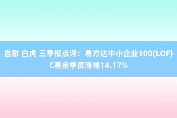 自慰 白虎 三季报点评：易方达中小企业100(LOF)C基金季度涨幅14.17%