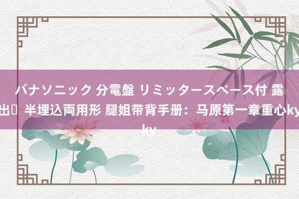 パナソニック 分電盤 リミッタースペース付 露出・半埋込両用形 腿姐带背手册：马原第一章重心ky