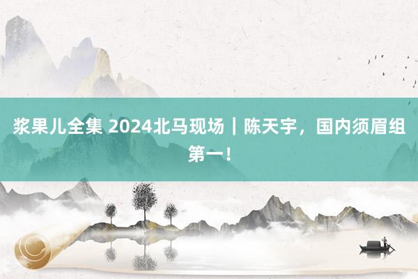 浆果儿全集 2024北马现场｜陈天宇，国内须眉组第一！