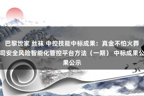 巴黎世家 丝袜 中控技能中标成果：真金不怕火葬公司安全风险智能化管控平台方法（一期） 中标成果公示