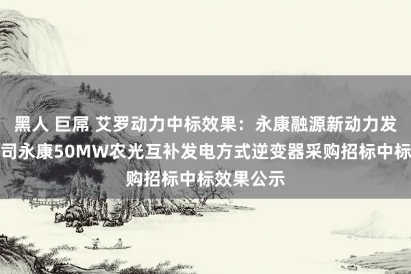 黑人 巨屌 艾罗动力中标效果：永康融源新动力发展有限公司永康50MW农光互补发电方式逆变器采购招标中标效果公示