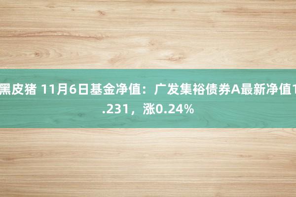 黑皮猪 11月6日基金净值：广发集裕债券A最新净值1.231，涨0.24%