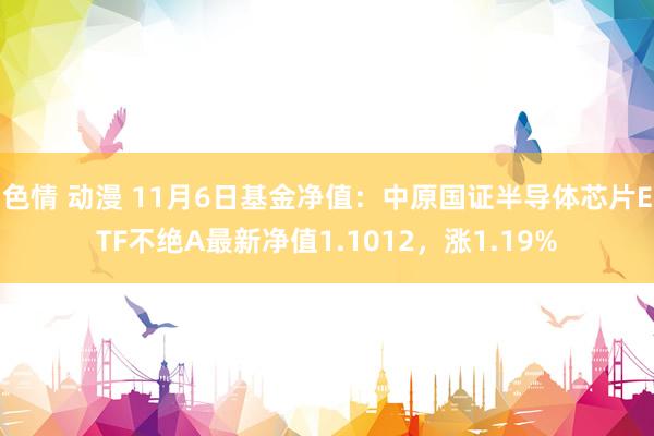 色情 动漫 11月6日基金净值：中原国证半导体芯片ETF不绝A最新净值1.1012，涨1.19%