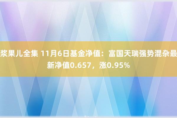 浆果儿全集 11月6日基金净值：富国天瑞强势混杂最新净值0.657，涨0.95%