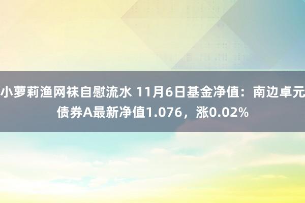 小萝莉渔网袜自慰流水 11月6日基金净值：南边卓元债券A最新净值1.076，涨0.02%