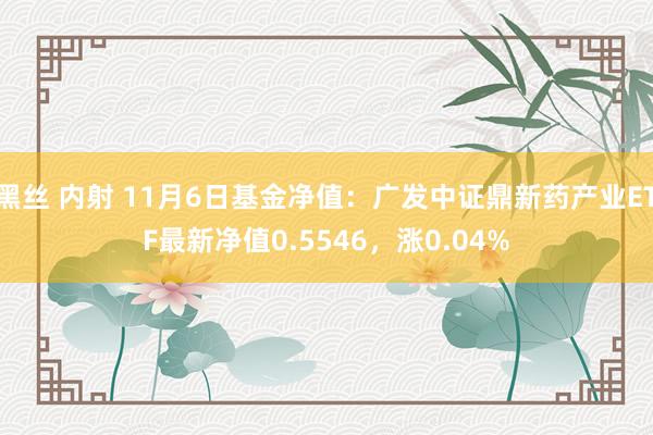 黑丝 内射 11月6日基金净值：广发中证鼎新药产业ETF最新净值0.5546，涨0.04%