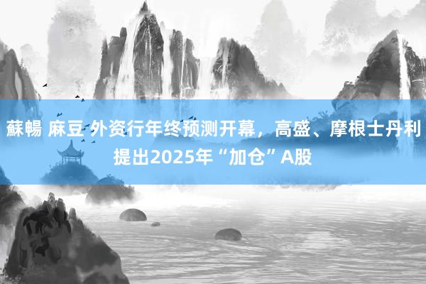 蘇暢 麻豆 外资行年终预测开幕，高盛、摩根士丹利提出2025年“加仓”A股