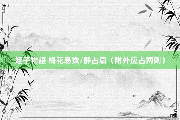 姪子物語 梅花易数/静占篇（附外应占两则）