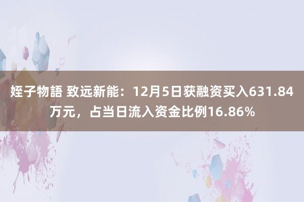 姪子物語 致远新能：12月5日获融资买入631.84万元，占当日流入资金比例16.86%