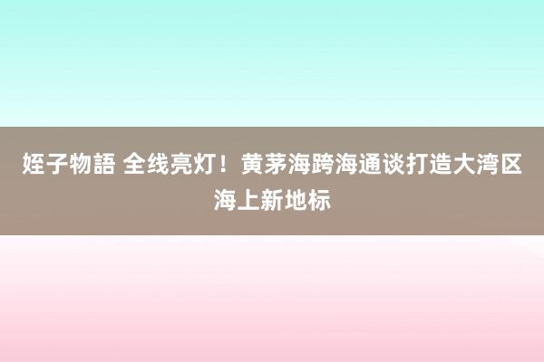 姪子物語 全线亮灯！黄茅海跨海通谈打造大湾区海上新地标