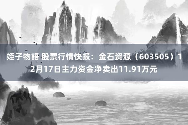 姪子物語 股票行情快报：金石资源（603505）12月17日主力资金净卖出11.91万元