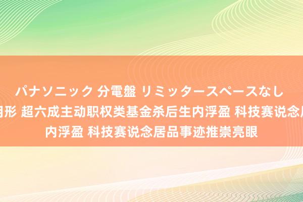 パナソニック 分電盤 リミッタースペースなし 露出・半埋込両用形 超六成主动职权类基金杀后生内浮盈 科技赛说念居品事迹推崇亮眼