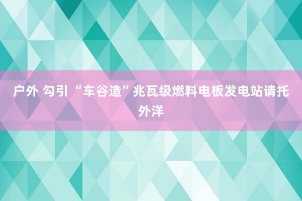 户外 勾引 “车谷造”兆瓦级燃料电板发电站请托外洋