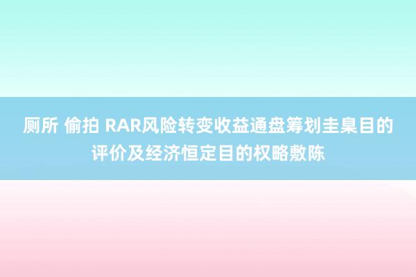 厕所 偷拍 RAR风险转变收益通盘筹划圭臬目的评价及经济恒定目的权略敷陈